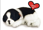 Cachorro de Pelúcia que Respira Border Collie Adult - Perfect Petzzz
