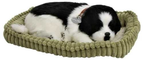 Cachorro de Pelúcia que Respira Border Collie Adult - Perfect Petzzz