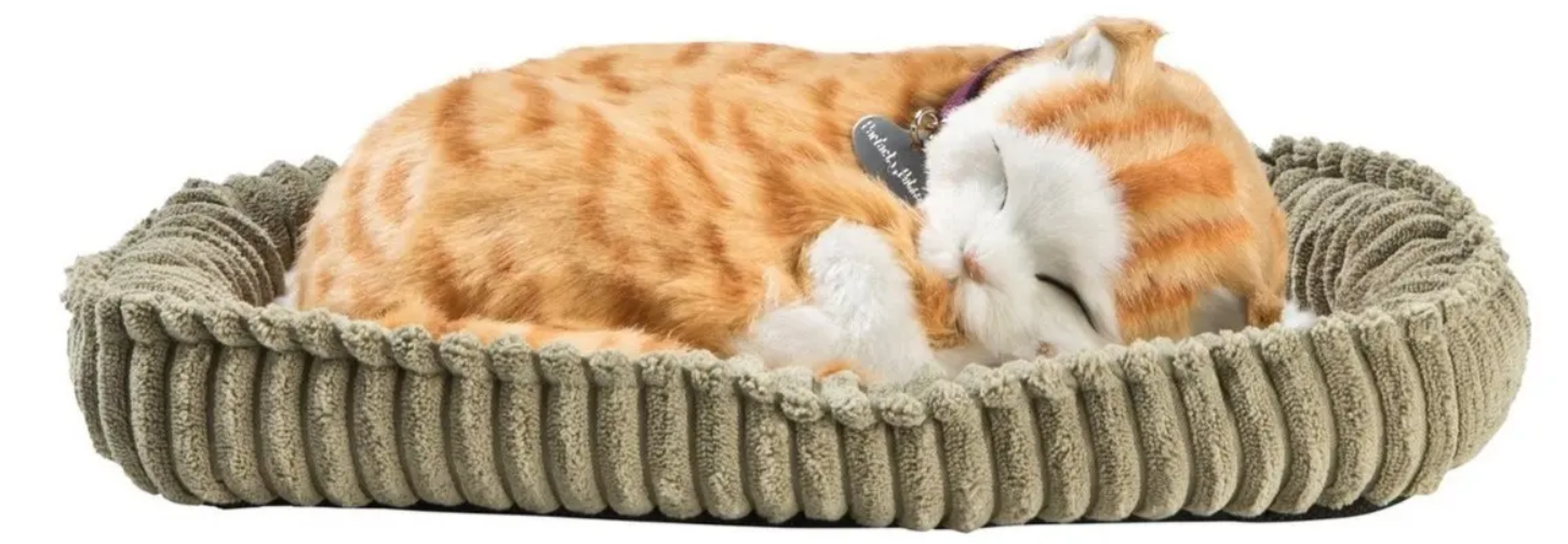 Gato De Pelúcia Que Respira Orange Tabby Perfect Petz