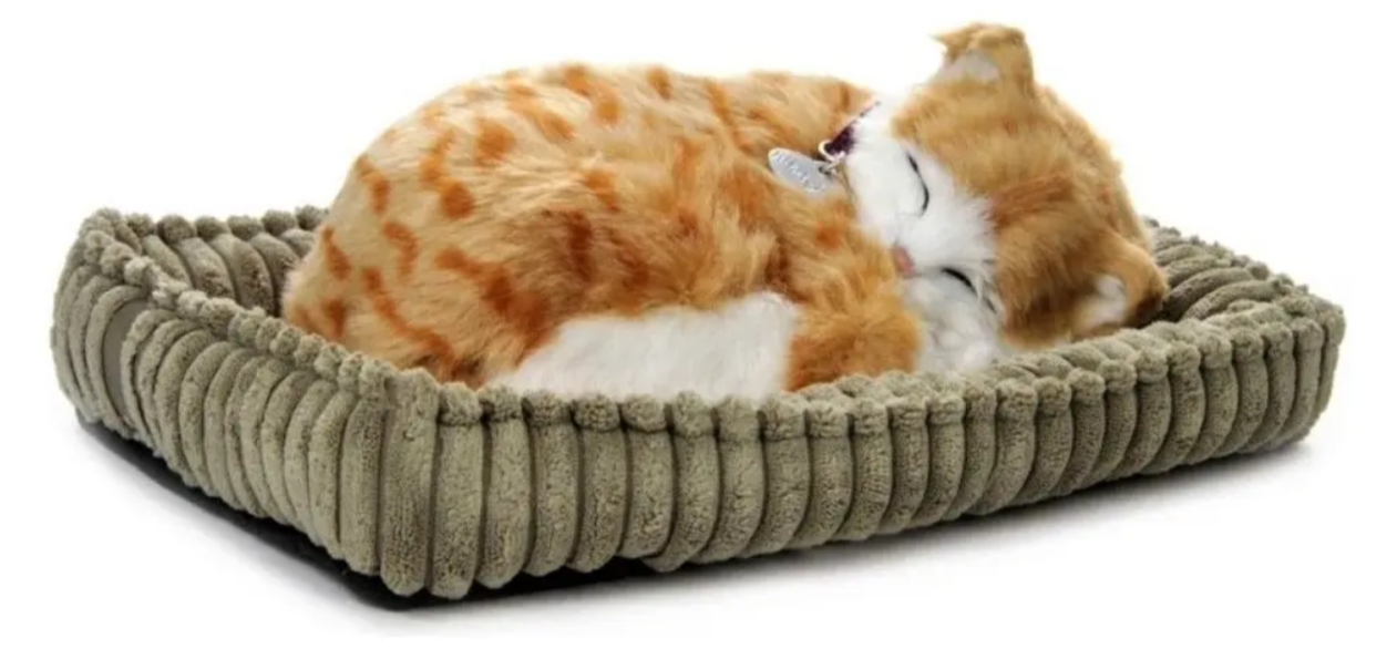 Gato De Pelúcia Que Respira Orange Tabby Perfect Petz