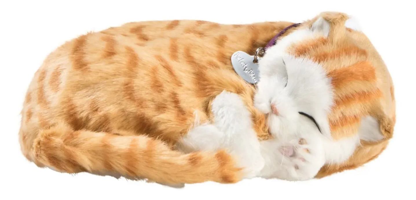 Gato De Pelúcia Que Respira Orange Tabby Perfect Petz